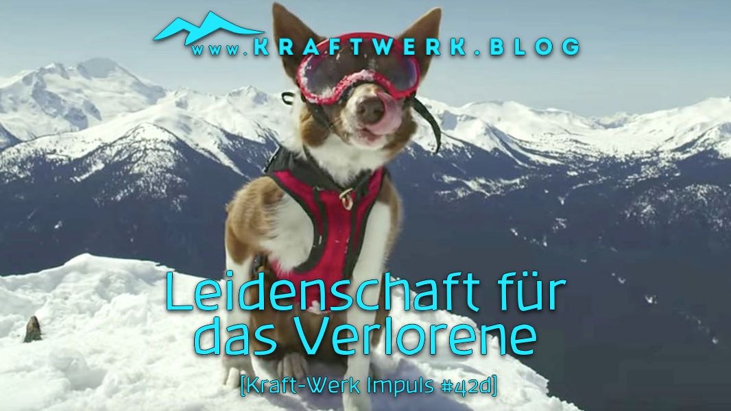Suchhund im Schnee mit Weste und Brille. Titelbild zu dem Post „Leidenschaft für das Verlorene“ - veröffentlicht auf dem www.kraftwerk.blog
