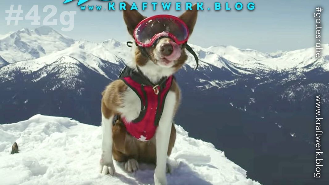 Suchhund im Schnee mit Weste und Brille. Titelbild zu dem Post „Leidenschaft für das Verlorene“ - veröffentlicht auf dem www.kraftwerk.blog #42g