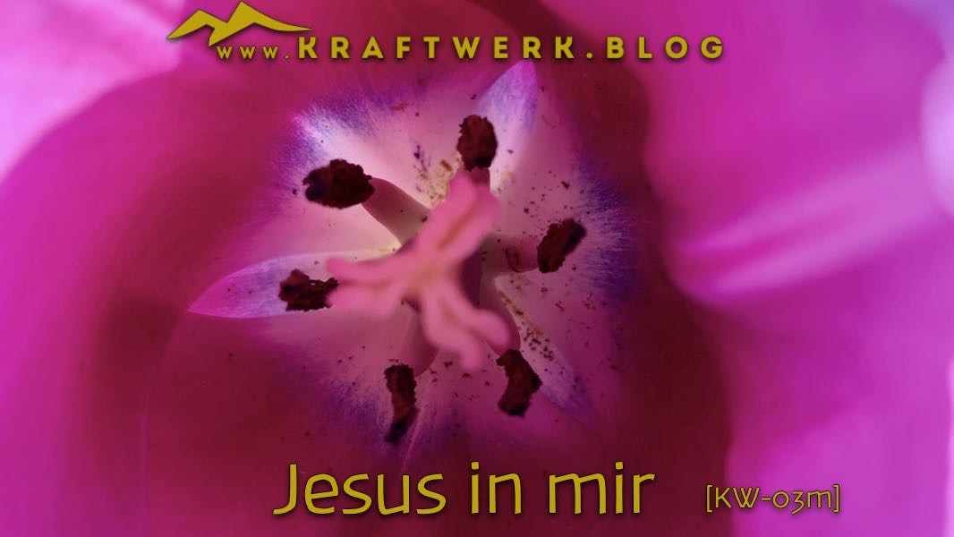 Innenleben einer wunderschönen Blume. Titelbild des Post „Jesus in mir“ - veröffentlicht auf dem www.kraftwerk.blog