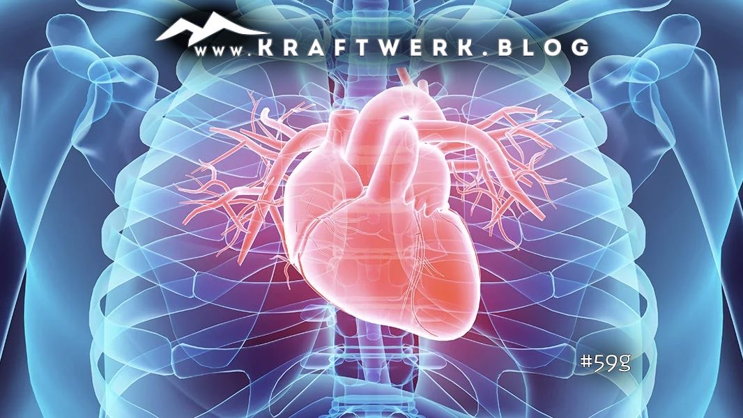 Herz im inneren des menschlichen Körpers. Titelbild zu dem Post: Herztransplantation - veröffentlicht auf dem www.kraftwerk.blog #59g
