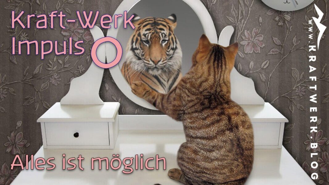 Katze sitzt vor einem Spiegel. Doch das Spiegelbild ist ein Löwe. Titelbild zu dem Post „Alles ist möglich“. Veröffentlicht auf dem www.kraftwerk.blog