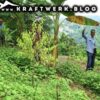 Farm Workers In The Jungle Of Timor. Cover Image For The Post: "Jesus On Timor" - Published On Www.kraftwerk.blog #08g