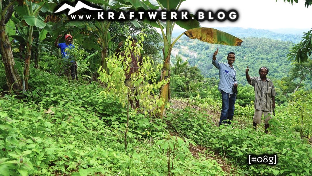 Farm workers in the jungle of Timor. Cover image for the post: "Jesus on Timor" - published on www.kraftwerk.blog #08g